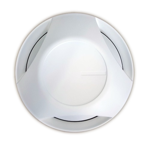 Raddeckel NEOPLAN II hinten