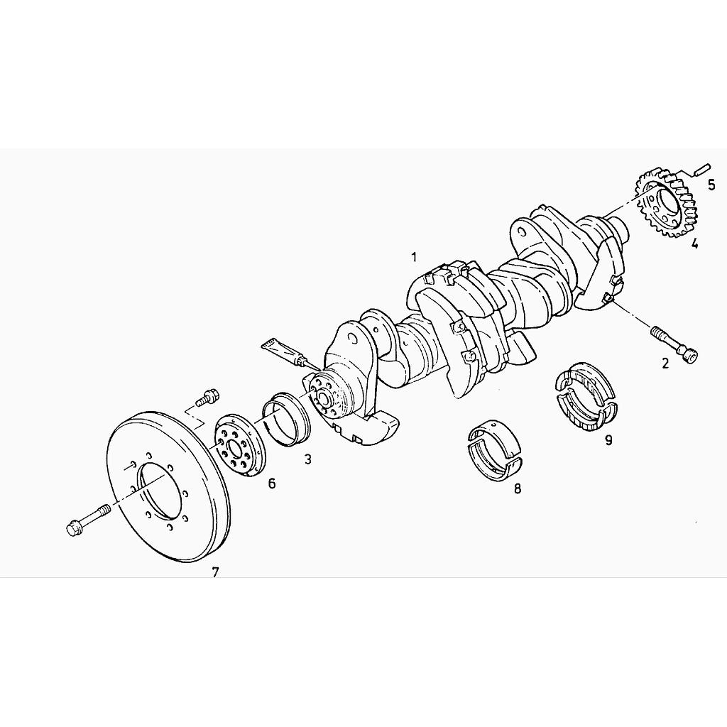 Kurbelwelle Schwingungsdämpfer