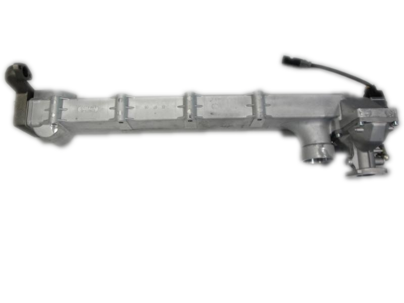 Abgasrückführungsmodul Sperrklappe