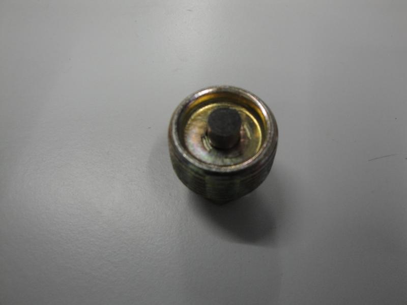 Verschluss Schraube M24X1,5 Mit Magnet Sw16