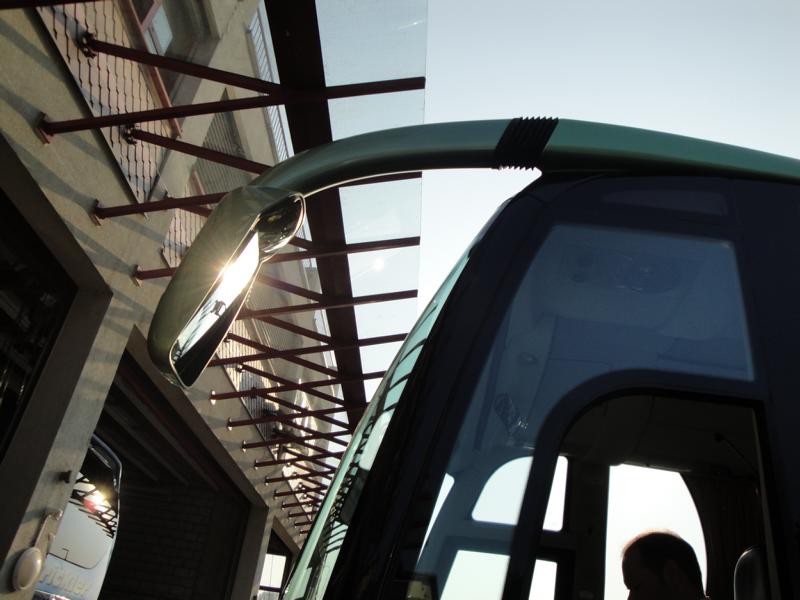 Aussenspiegel Rechts Lions Star