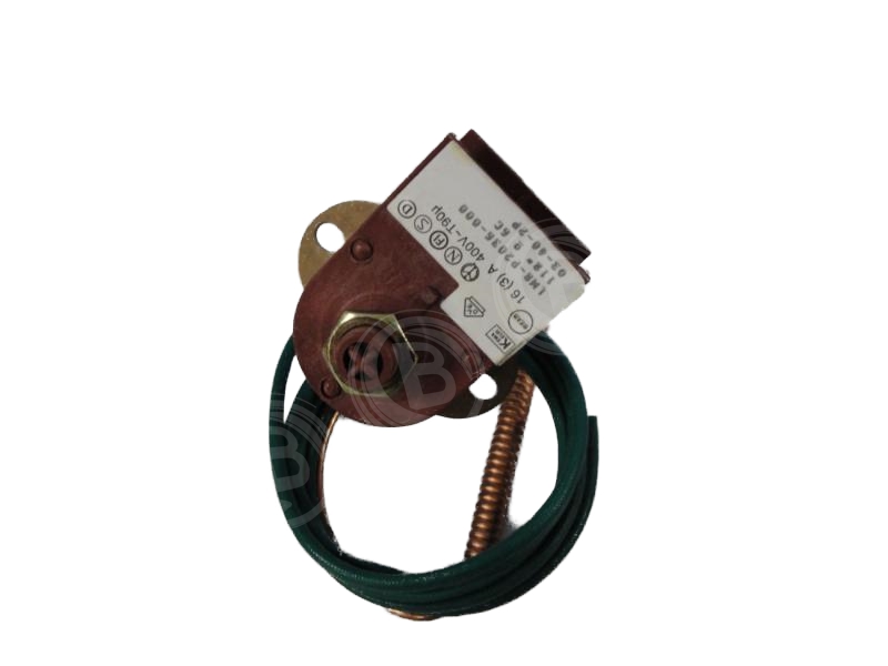 Temperaturbegrenzer 118°