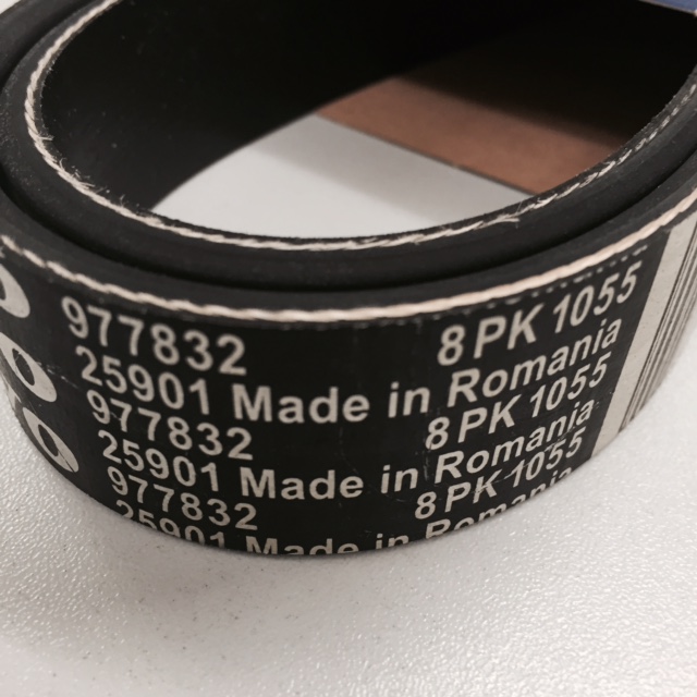 Cintura con nervatura a V 8PK 1055